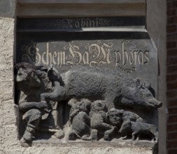 Wittenberg town church 79635 Sandstone relief with the so-called Judensau 79635 refers to the