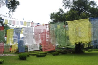 Holy scripture, UNESCO World Heritage site, Gautam Buddha's birthplace at Lumbini, Nepal, Asia