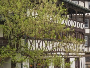 A traditional half-timbered house with balustrades, framed by green trees, strasbourg, france