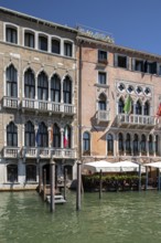 Venice, palaces on the Grand Canal, Palazzo Giustinian Pesaro and Ca' Sagredo, also Palazzo