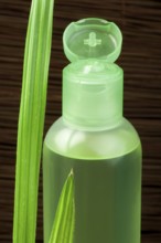 Green cosmetic bottle and green leaf. Studio shot