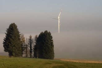 Landscape near Lemgo, wind turbines in the fog