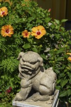 Stone lion statue surrounded by blooming hibiscus flowers in a sunny garden, penang, malaysia