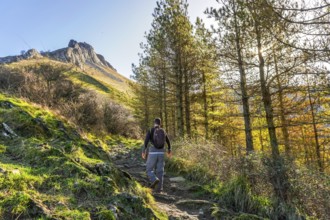 Male hiker walking a rocky path through pine trees on the slopes of mount txindoki in gipuzkoa,