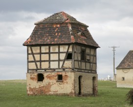 Auligk near Groitzsch Saxony Image no. 1140 Abandoned manor pigeon house also called dwarf house