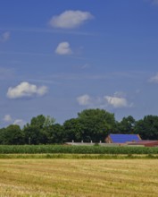 Farmhouse with solar modules