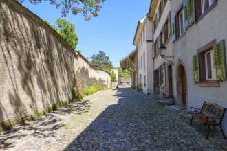 Idyllic cobbled alleyway lined with historic buildings and wooden shutters in sunny weather,