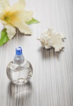 Cockle shell bottle and flower