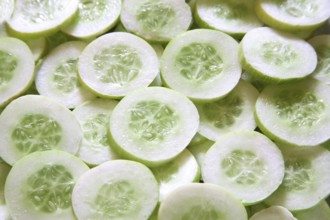 Green vegetable, kakri cucumbers cucumis utilissimus round slices