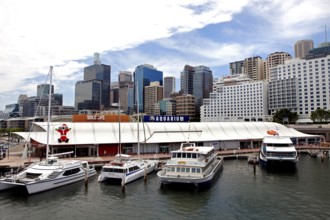 Sydney aquarium, darlington harbour, australia