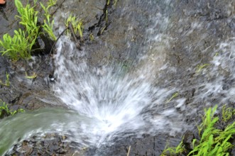 Waterfall and splash