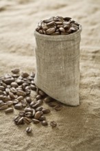 Coffee grains in bag on sacking