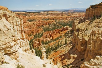 Bryce canyon, national park, utah, united state of america