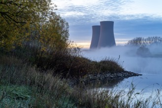 Cooling towers of the Grohne nuclear power plant in the fog in the morning, surrounded by autumnal