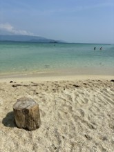 Wooden log on a quiet beach with gentle waves under a blue sky, koh samui, thailand