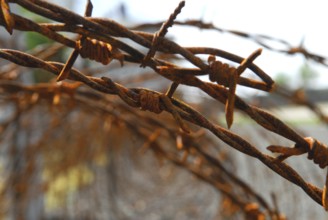 Barbed fence, Germany, Europe