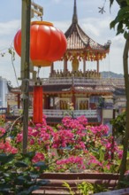 Red lantern in front of blooming flowers with traditional temple architecture in the background,