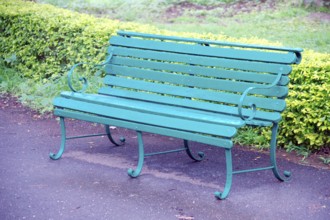 Wooden Bench in Garden