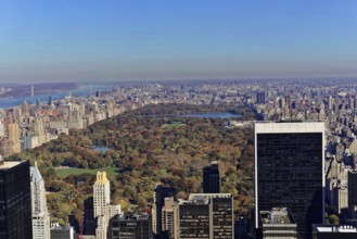 Rockefeller Center observation deck, view of skyscrapers in front of Central Park with autumn trees