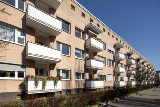 Frankfurt am Main, Lindenbaum housing estate, planned in 1930 by Walter Gropius, typical row of