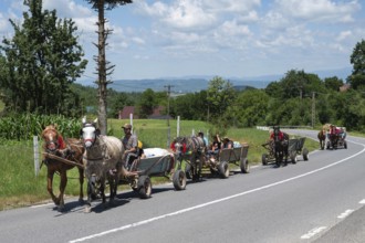 MARAMURES, ROMANIA - JUNE 24, 2024: The camp of Gypsies on the road