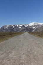 View of Austertanaveien road 890 in clear summer weather, Varanger Peninsula, Norway, Europe