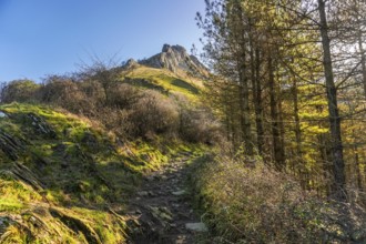 Scenic hiking trail ascending towards the summit of mount txindoki, surrounded by lush vegetation