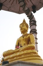 Golden Statue of lord Buddha, Kapilawastu, UNESCO World Heritage lord Buddha's birthplace at