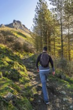 Male hiker walking on a path in the forest towards the summit of mount txindoki in the basque