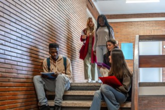 Multi ethnic university students walking together on brick stairs, engaging in study sessions and