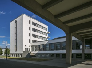 Dessau Bauhaus Prellerhaus 6376 below canteen and assembly hall above connecting bridge built