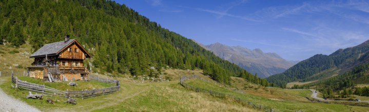 Staller Almen, high valley, Staller Sattel, Defereggen Valley, East Tyrol, Austria, Europe