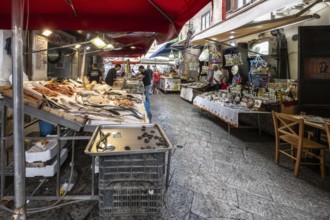 Market in Palermo, Sicily, Italy, Europe