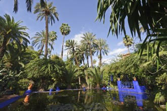 Morocco, Jardin Majorelle Botanical Garden in Marrakech, Africa