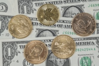 US dollar, various gold coins, symbol photo gold, investment, currency