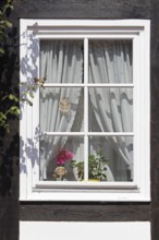 Window, Sandman, Hildesheim, Lower Saxony, Germany, Europe