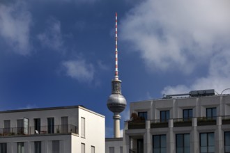 Berlin TV Tower behind new flats, Mitte, Berlin, Germany, Europe