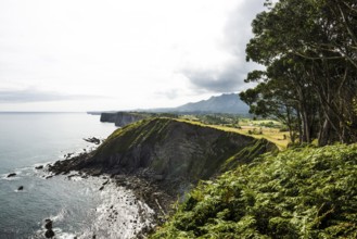 Steep coast, Ribadesella, Asturias, Asturias, Costa Verde, Northern Spain, Spain, Europe