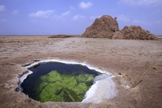 Lake formed in hole in salt layer in desert of the Danakil Depression, lowest and hottest place on