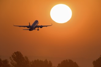 Passenger aeroplane after take-off, sunrise, sun, trees, Baden-Württemberg, Germany, Europe