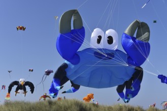 Kite festival, flying kites on Schönberg beach, Schleswig-Holstein, Germany, Europe