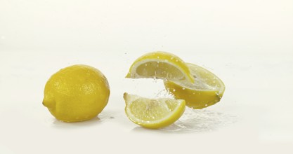 Yellow Lemons, citrus limonum, Fruits Rolling on Water and splashing against White Background