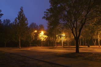 Early morning park