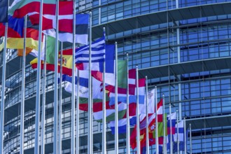 EU flags on poles in front of the Glass Fasadz building and the entrance to the European