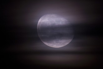 Moon four days after full moon, Braunschweig, Lower Saxony, Germany, Europe
