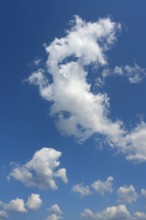 White cumulus clouds ruffled by the strong wind in the blue sky
