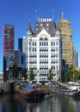 Het witte hus, Rotterdam