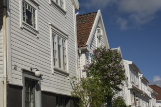 White wooden houses with blooming flowers and clear blue sky in the background, stavanger, norway