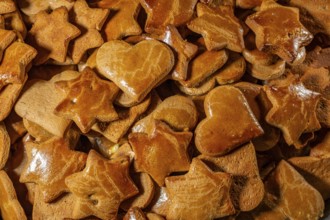 Home-baked gingerbread in various shapes, studio shot