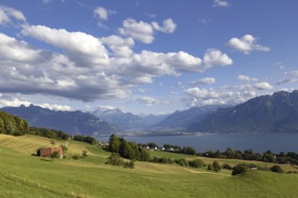 Mont-Pèlerin (Pilgrims' Mountain) with view of Lake Geneva and the Alps, near Vevey, Canton Vaud,